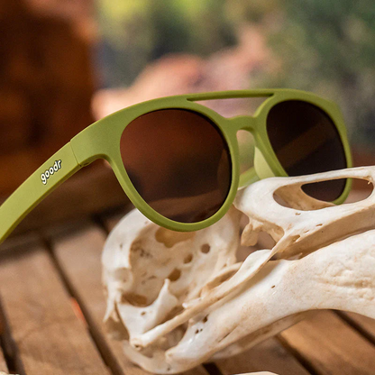 SALE: goodr PHG - Fossil Finding Focals